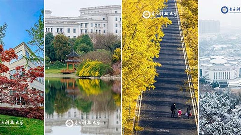 S8050与SS8050：揭秘两款常见晶体管的差异